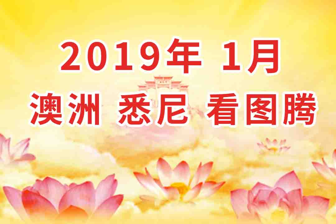 〔视频〕2019年1月 澳大利亚・悉尼  法会 看图腾 集锦